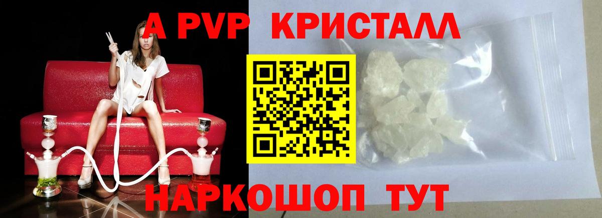 А ПВП крисы CK  A PVP СК КРИС  Вход с VPN  Свободный  A PVP СК КРИС 