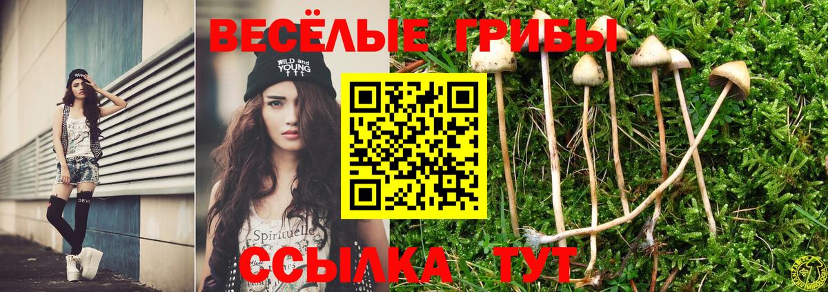 наркошоп  Вход с VPN  Свободный  Псилоцибиновые грибы MAGIC MUSHROOMS  Псилоцибиновые грибы Magic Shrooms 